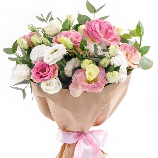 Элизиум от 5 700 руб.