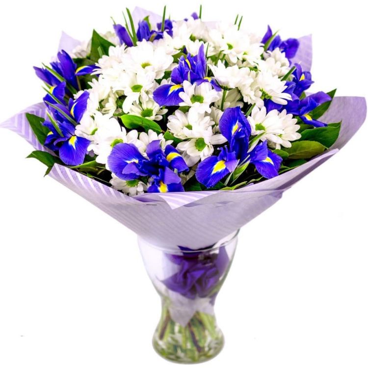 Океан от 7 500 руб.